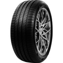 245/35R21 96Y DELINTE DS2 XL